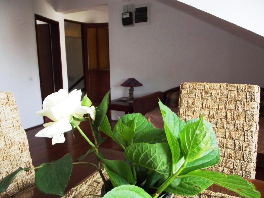 Apartments Budva Center الغرفة الصورة